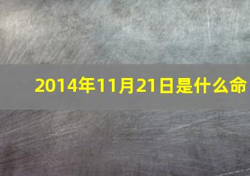 2014年11月21日是什么命