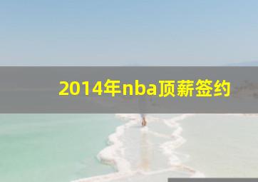 2014年nba顶薪签约