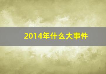 2014年什么大事件