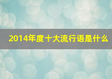 2014年度十大流行语是什么