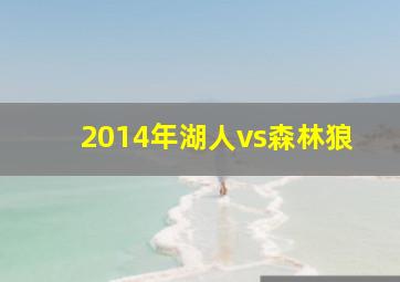 2014年湖人vs森林狼