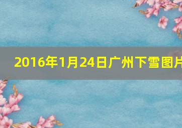 2016年1月24日广州下雪图片