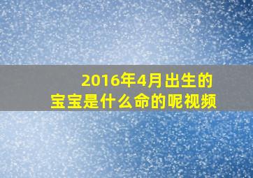 2016年4月出生的宝宝是什么命的呢视频