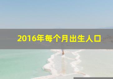 2016年每个月出生人口