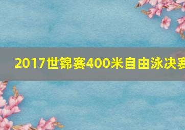 2017世锦赛400米自由泳决赛