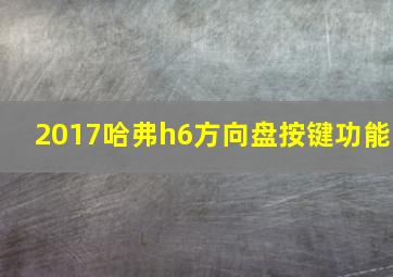 2017哈弗h6方向盘按键功能