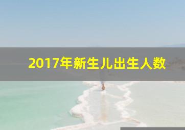 2017年新生儿出生人数