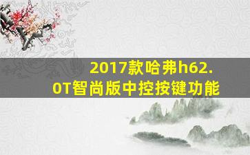 2017款哈弗h62.0T智尚版中控按键功能