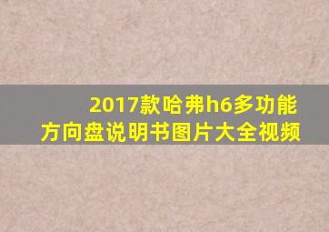 2017款哈弗h6多功能方向盘说明书图片大全视频