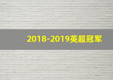 2018-2019英超冠军