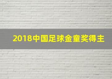 2018中国足球金童奖得主