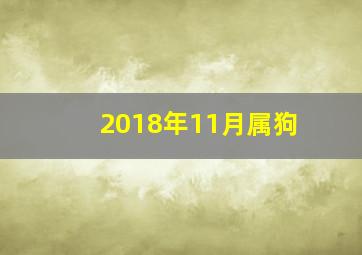 2018年11月属狗