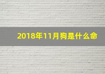 2018年11月狗是什么命