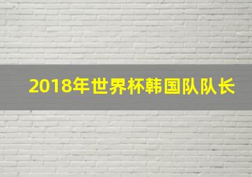 2018年世界杯韩国队队长