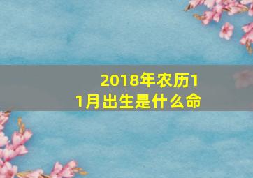 2018年农历11月出生是什么命