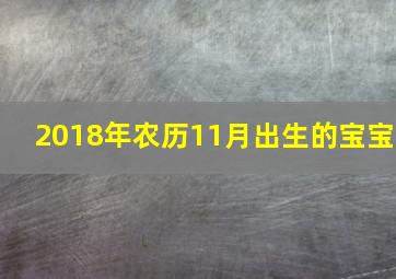 2018年农历11月出生的宝宝