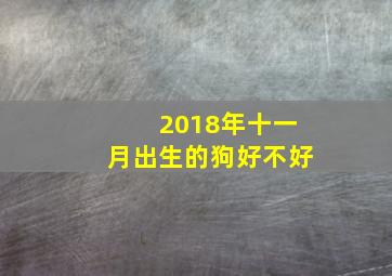 2018年十一月出生的狗好不好