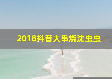 2018抖音大串烧沈虫虫