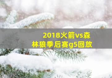 2018火箭vs森林狼季后赛g5回放