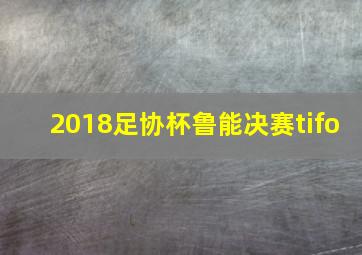 2018足协杯鲁能决赛tifo