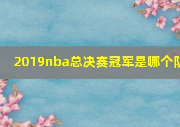 2019nba总决赛冠军是哪个队