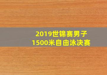 2019世锦赛男子1500米自由泳决赛