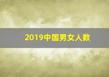 2019中国男女人数