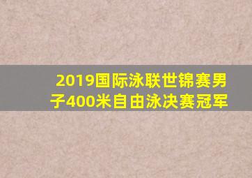 2019国际泳联世锦赛男子400米自由泳决赛冠军