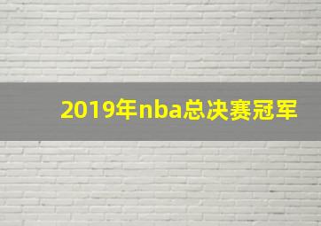 2019年nba总决赛冠军