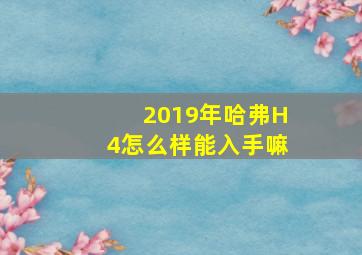 2019年哈弗H4怎么样能入手嘛