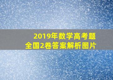 2019年数学高考题全国2卷答案解析图片