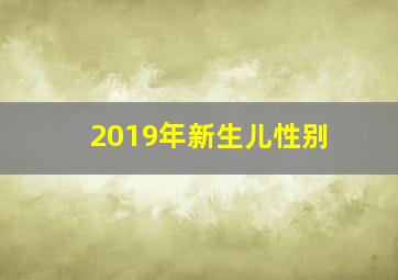 2019年新生儿性别