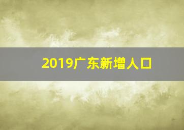 2019广东新增人口