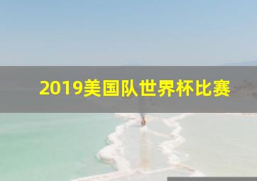 2019美国队世界杯比赛