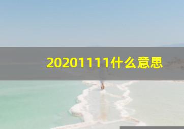 20201111什么意思