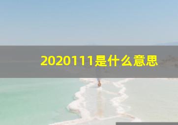 2020111是什么意思