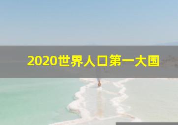 2020世界人口第一大国