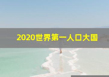 2020世界第一人口大国