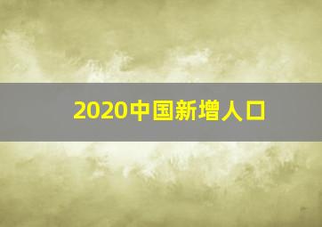 2020中国新增人口