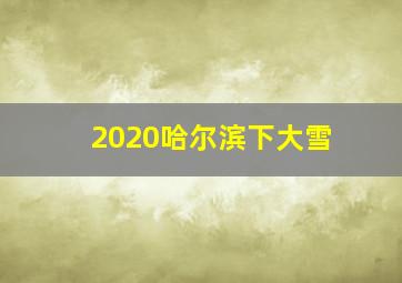 2020哈尔滨下大雪