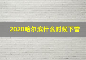 2020哈尔滨什么时候下雪