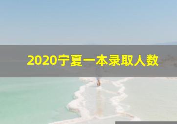 2020宁夏一本录取人数