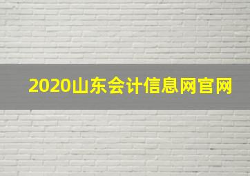 2020山东会计信息网官网