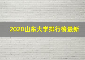 2020山东大学排行榜最新