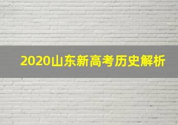 2020山东新高考历史解析