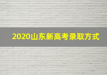 2020山东新高考录取方式