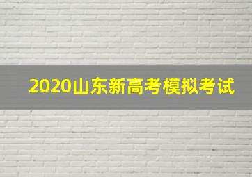 2020山东新高考模拟考试