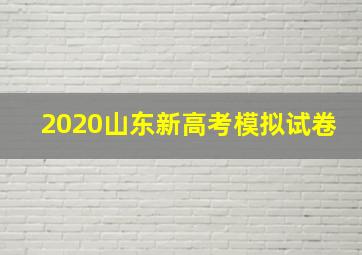 2020山东新高考模拟试卷