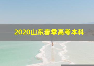 2020山东春季高考本科