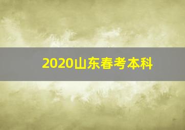 2020山东春考本科